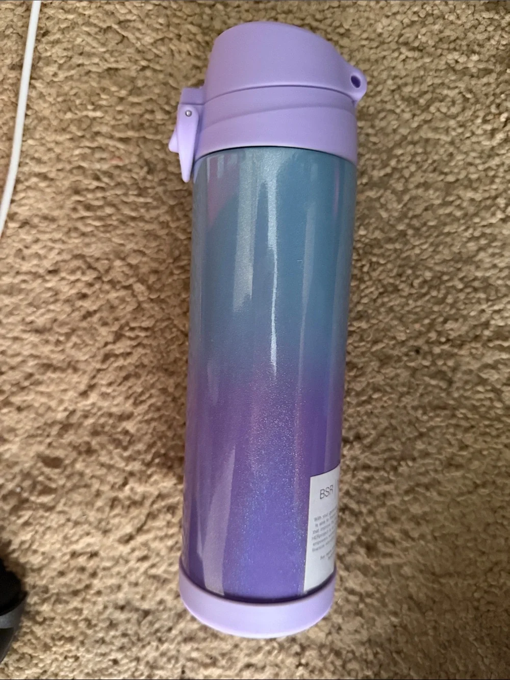 Pottery Barn Kids ombre insulated